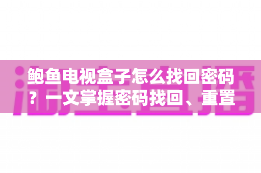 鲍鱼电视盒子怎么找回密码?一文掌握密码找回、重置与安全设置全流程指南 鲍鱼电视盒子怎么找回密码?一文掌握密码找回、重置与安全设置全流程指南