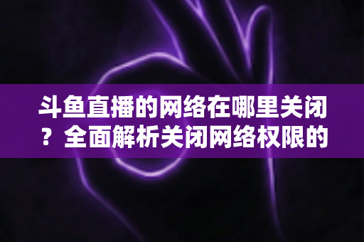 斗鱼直播的网络在哪里关闭?全面解析关闭网络权限的详细步骤与实用技巧 斗鱼直播的网络在哪里关闭?全面解析关闭网络权限的详细步骤与实用技巧