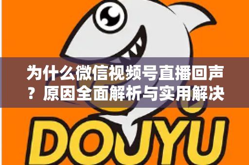 为什么微信视频号直播回声？原因全面解析与实用解决方案指南
