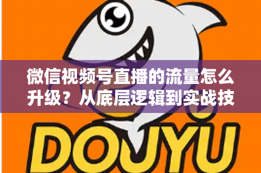 微信视频号直播的流量怎么升级？从底层逻辑到实战技巧的完整攻略