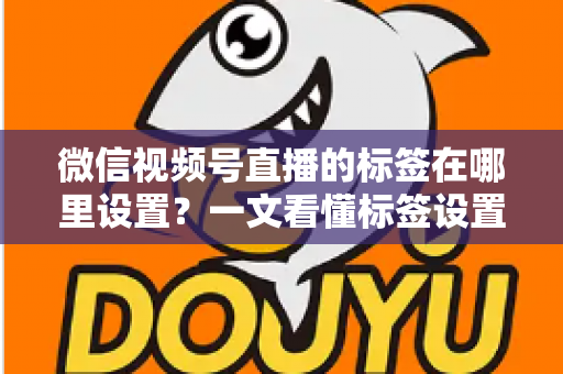 微信视频号直播的标签在哪里设置？一文看懂标签设置位置、操作步骤与运营技巧全解析