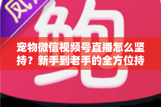 宠物微信视频号直播怎么坚持？新手到老手的全方位持久运营指南