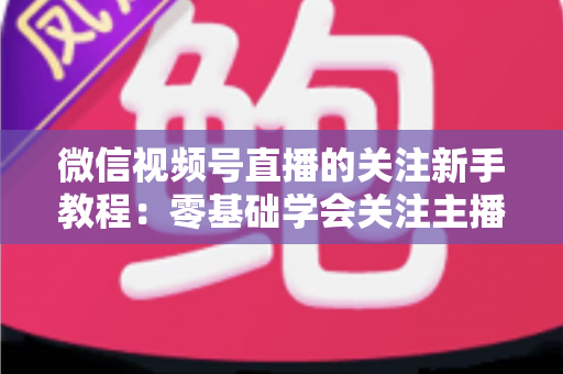 微信视频号直播的关注新手教程：零基础学会关注主播与快速涨粉的完整实操指南