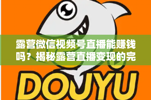 露营微信视频号直播能赚钱吗?揭秘露营直播变现的完整攻略与真实收益 露营微信视频号直播能赚钱吗?揭秘露营直播变现的完整攻略与真实收益