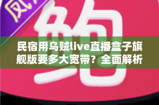 民宿用乌贼live直播盒子旗舰版要多大宽带？全面解析带宽配置指南与选型建议