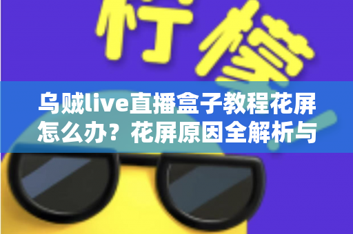 乌贼live直播盒子教程花屏怎么办？花屏原因全解析与快速修复指南