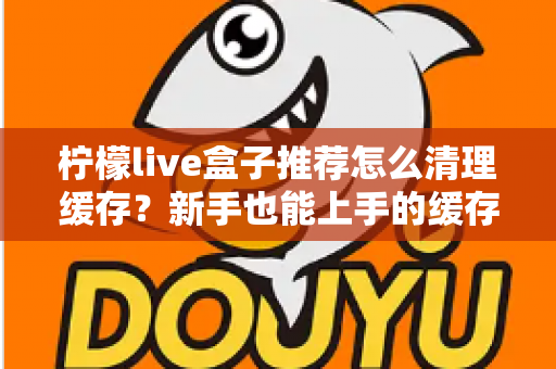 柠檬live盒子推荐怎么清理缓存？新手也能上手的缓存清理全攻略